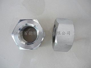 耐蚀合金XM-19(S20910/Nitronic50)螺母